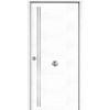 Puerta de seguridad 900x2100, modelo Iris