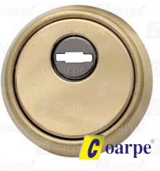 Escudo para puerta de seguridad THT SAGA