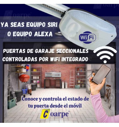 Puerta de Garaje Seccional + Motor Wifi