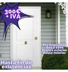 Puerta de Seguridad Modelo ARIAN THT