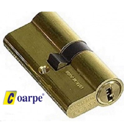 Cilindro de Seguridad para Puertas Saga 100 THT