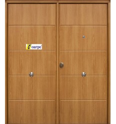 Puerta de seguridad 900x2100, modelo Coral