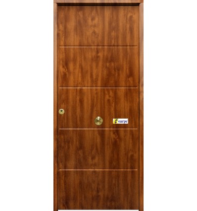 Puerta de seguridad 900x2100, modelo Cintia