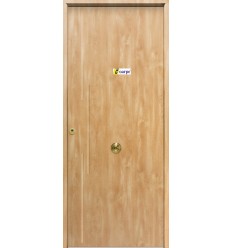 Puerta de seguridad 900x2100, modelo Dalia