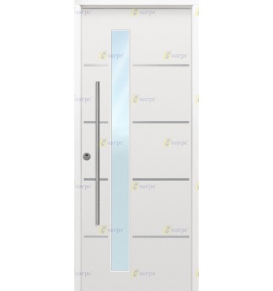 Puerta de seguridad 900x2100, modelo Camelia