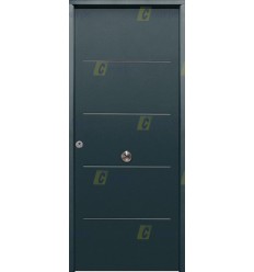 Puerta de Seguridad 1105 PLUS THT