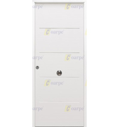 Puerta de seguridad 900x2100