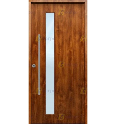 Puerta de Seguridad 1110 con Cristal Largo y Manillón THT