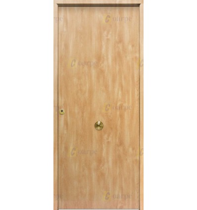 Puerta de Seguridad 1110 Lisa THT