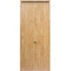 Puerta de Seguridad 1110 Lisa THT