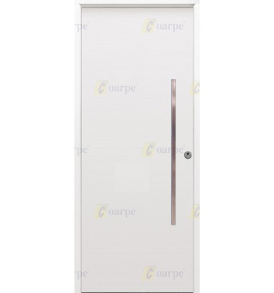 Puerta de seguridad 900x2100, modelo 1110
