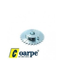 Piñón Partido (30-40 Dientes)