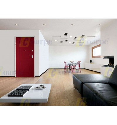 Puerta Acorazada Asso 10