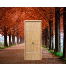 Puerta Acorazada CINTIA FM CERRADURA 5 PUNTOS