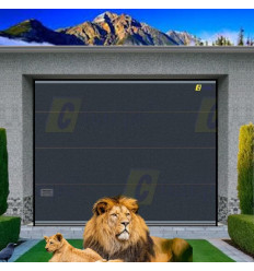 Puerta seccional industrial