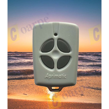 Mando a distancia BFT