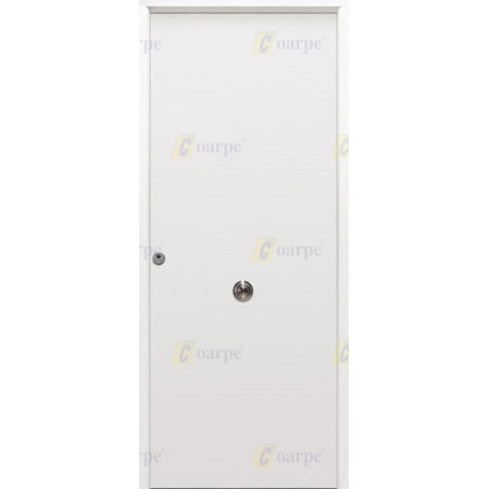 Puerta de Seguridad Lisa 1110 THT