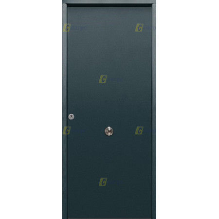 Puerta de Seguridad 1110 Lisa Antracita RAL 7016 THT