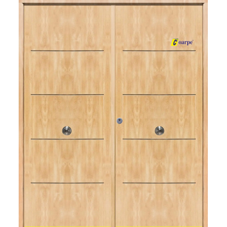 Puerta de Seguridad 1105 Doble Hoja THT