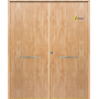 Puerta de Seguridad 1105 Doble Hoja THT