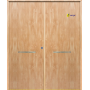 Puerta de Seguridad 1105 Doble Hoja THT
