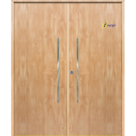 Puerta de Seguridad 1105 Doble Hoja THT