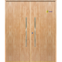 Puerta de Seguridad 1105 Doble Hoja THT