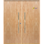 Puerta de Seguridad 1105 Doble Hoja THT