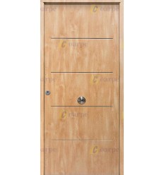 Puerta de Seguridad 1105 THT