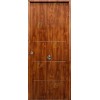 Puerta de Seguridad 1105 THT