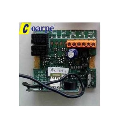 Receptor Mutan II Mod. RNE 248 U