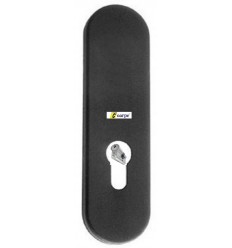 Placa Ei Maneta-cilindro