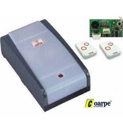 Motor CLENSA seccionales AS120