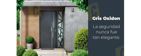 Puertas de Seguridad